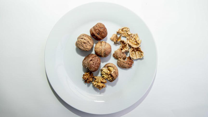 Une alimentation équilibrée doit contenir une ration quotidienne de 15 à 25 grammes de noix (en tout genre) et de graines.