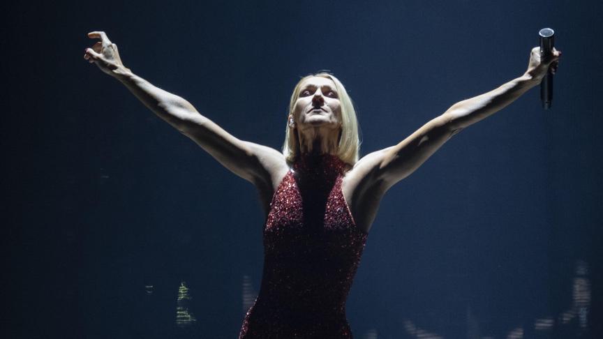 Céline Dion en concert au Canada, lors de son World Tour Show.