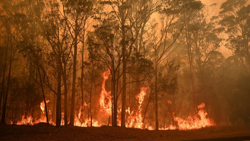 Image authentique, cette fois, d’un incendie australien.