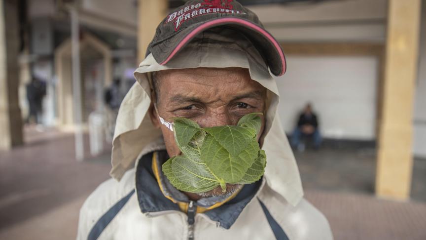 Masque de fortune avec des feuilles de figuier pour ce vendeur de rue marocain, à Rabat.