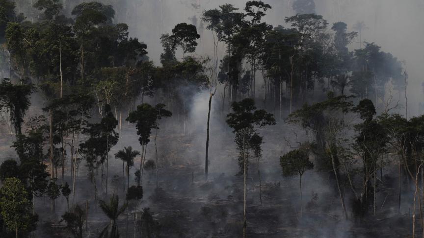 Le WWF fait un lien entre déforestation, ici en Amazonie, et la diffusion de virus dans le circuit humain.