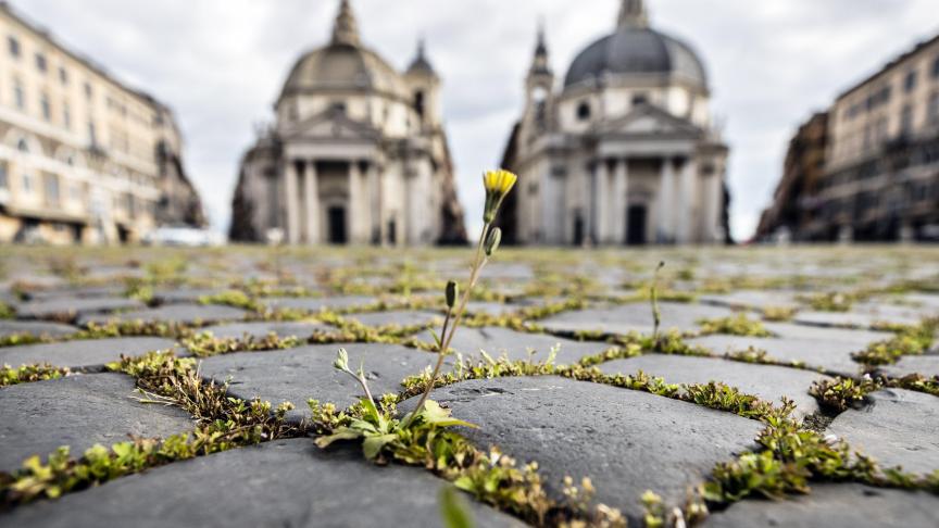 L’herbe pousse entre les pavés de la Piazza del Popolo à Rome, désertée par la population.