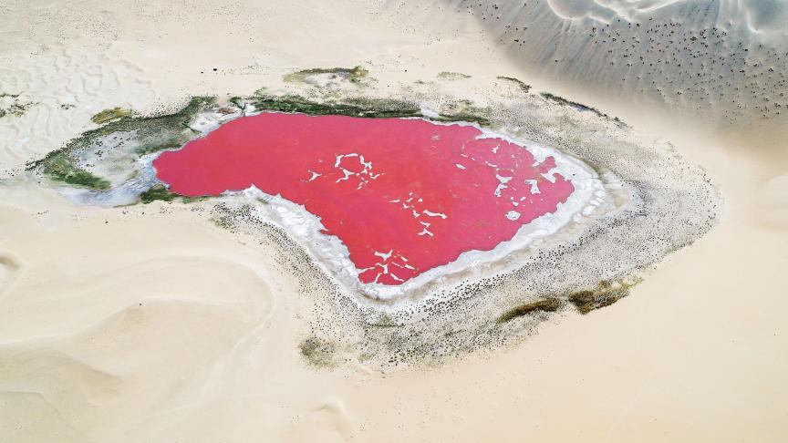 Le lac de sel rouge Gelete dans le désert, à Alxa, en Chine.