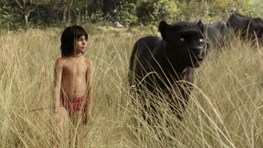 Les aventures de Mowgli, un petit d’homme élevé dans la jungle par une famille de loups.