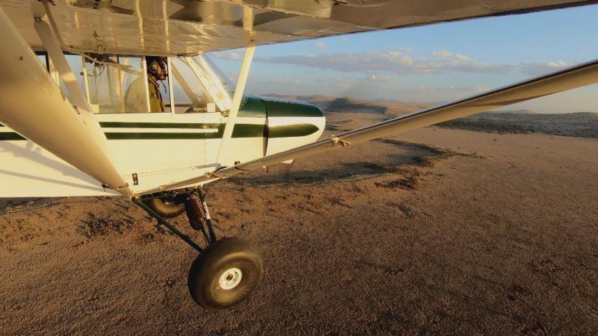 Dans son petit avion, un biologiste kényan veille à la sécurité des espèces les plus menacées.