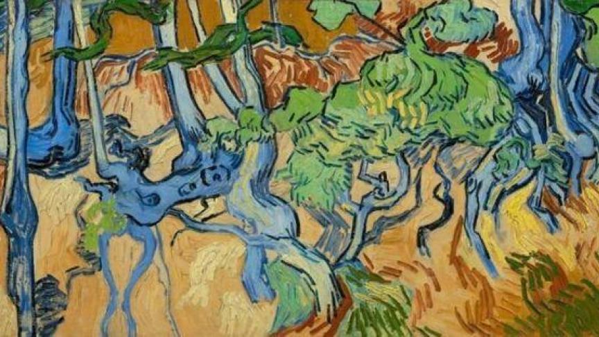 «
Racines
», Vincent Van Gogh Foundation - D.R.