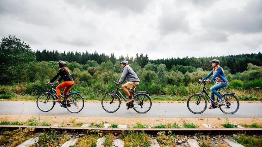 En Wallonie, les cantons de l’Est ont attiré un nombre record de touristes, pour des balades à vélo - comme ici sur la Vennbahn - ou à pied.