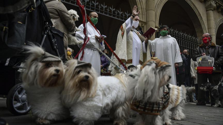 Le prêtre César Magana bénit les animaux pendant la fête de Saint Antoine, saint patron des animaux d’Espagne, à Pampelune.