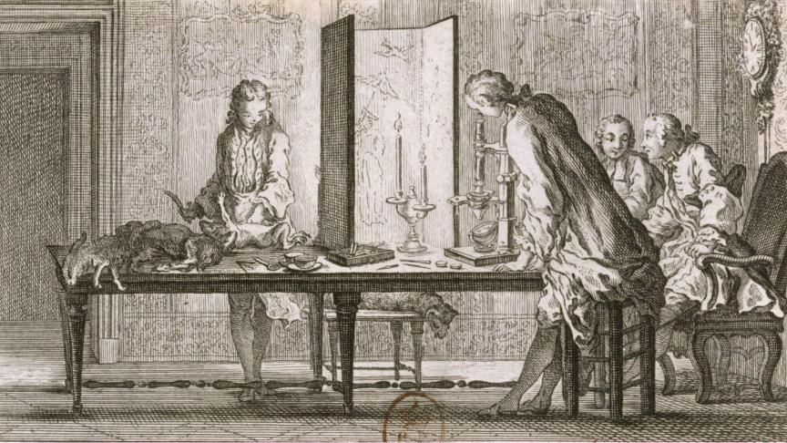 Georges-Louis Leclerc Buffon (1707-1788) entretient des relations suivies avec John Needham, l’un des plus grands microscopistes de son temps, avec lequel il mène une série d’expériences lors d’un séjour du savant anglais à Paris.