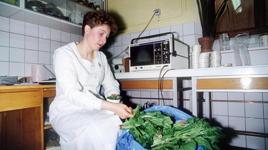 Des tests ont été menés sur les légumes pour mesurer leur taux de radioactivité.