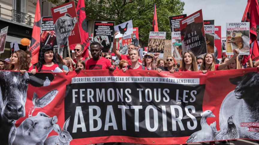 Organisées chaque année, à Paris (photo) et à Toulouse où elles sont nées en 2021, mais aussi désormais partout dans le monde, les Marches pour la fermeture des abattoirs rassemblent des dizaines de milliers de personnes.