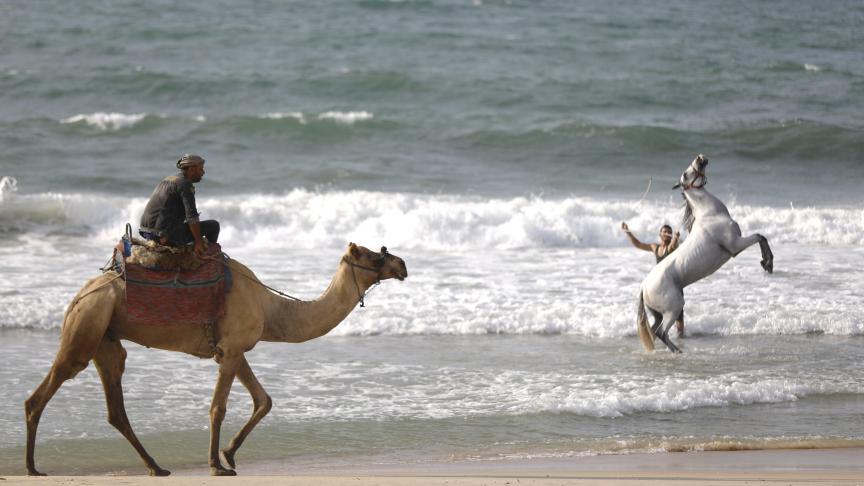 Sur une plage de Gaza, un homme joue avec un cheval tandis qu’un autre monte son chameau.