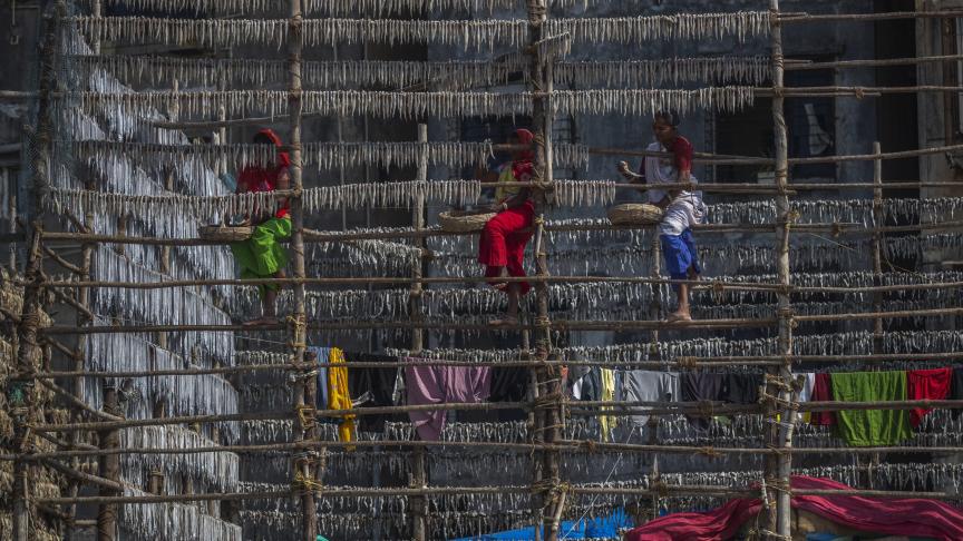 Des pêcheurs accrochent des poissons sur une structure faite de bâtons de bambou pour les faire sécher au soleil à Mumbai, en Inde.
