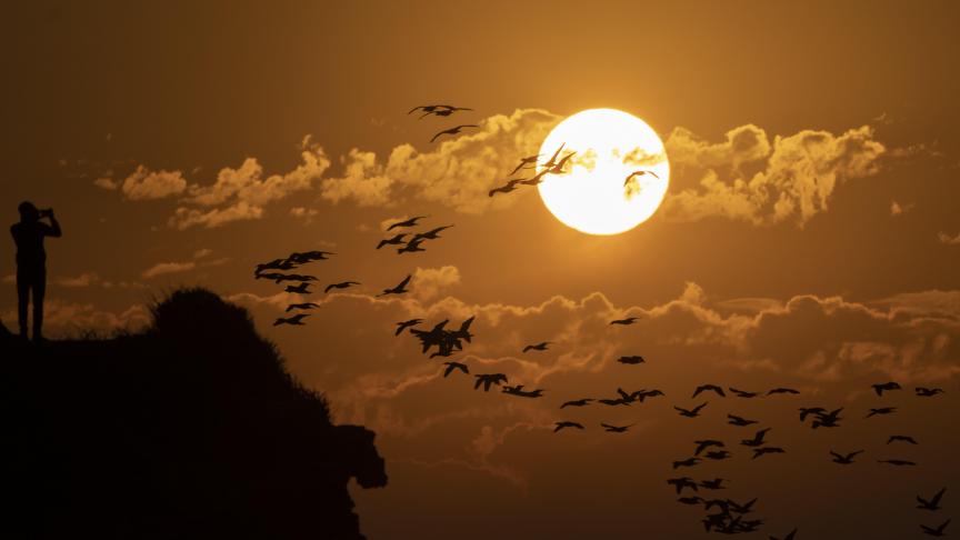 Des oiseaux s’envolent devant le soleil se couchant sur la mer Méditerranée.