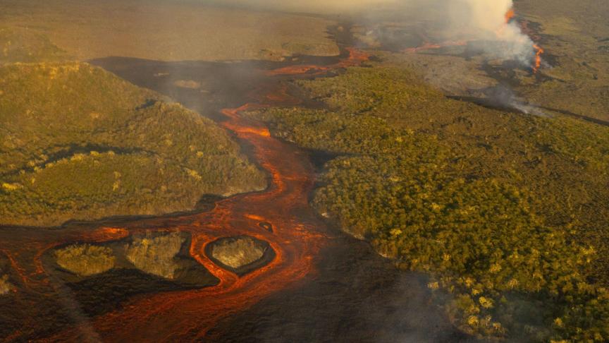 La lave du volcan Wolf se fraye un chemin à travers l’île des Galapagos.