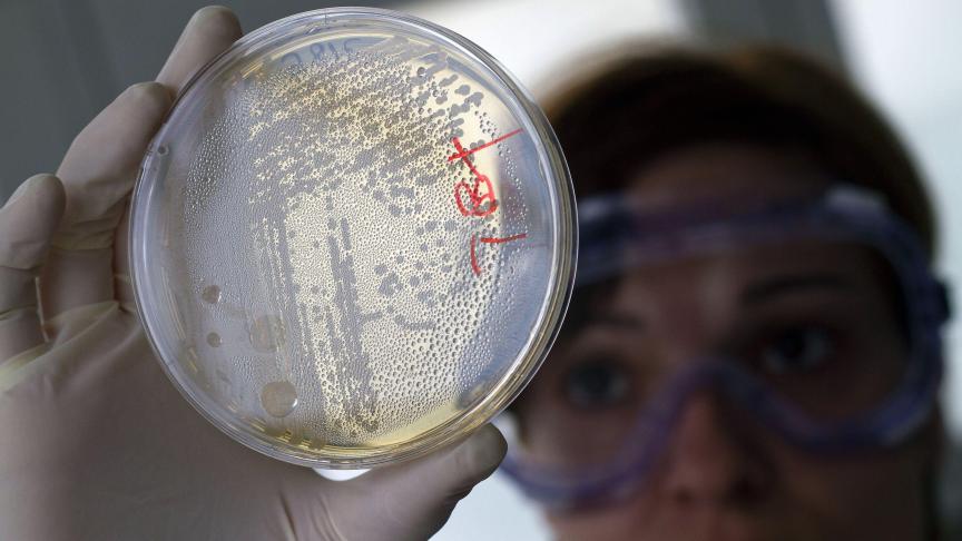 Les bactéries deviennent de plus en plus résistantes à nos antibiotiques.