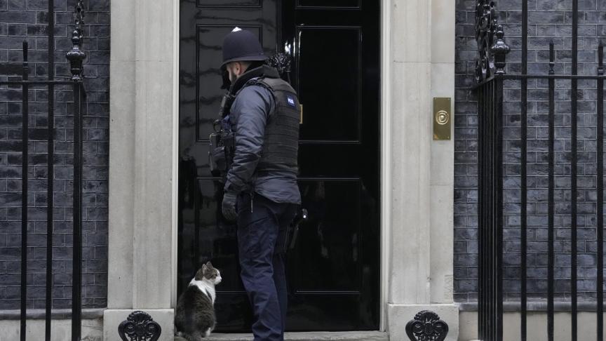 Les chats savent très bien se faire obéir, même pour arriver à entrer au 10 Downing Street.