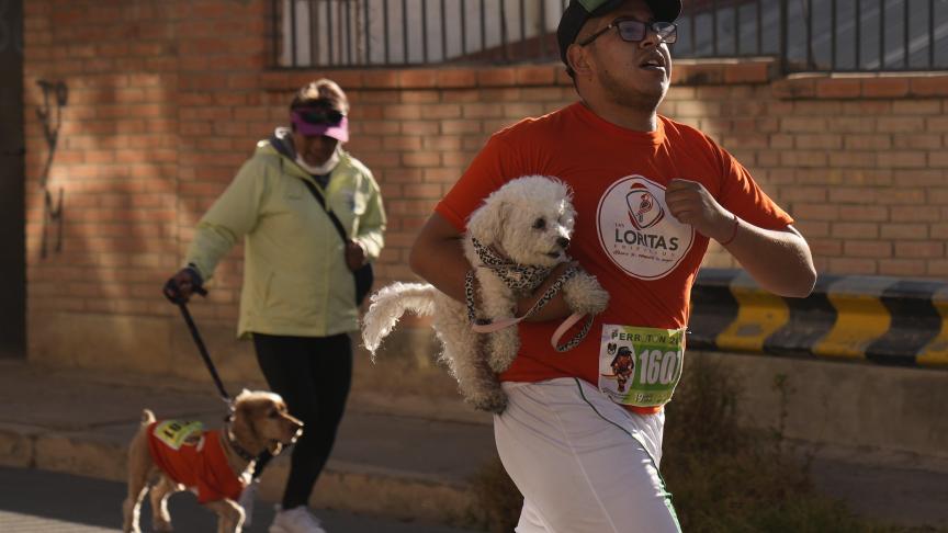 Les gens courent avec leurs chiens lors d'un marathon appelé Perroton, à La Paz, en Bolivie, pour lutter contre la cruauté animale.
