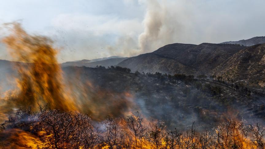 Une forêt brûle lors d'un incendie de forêt près d'Altura, dans l'est de l'Espagne.