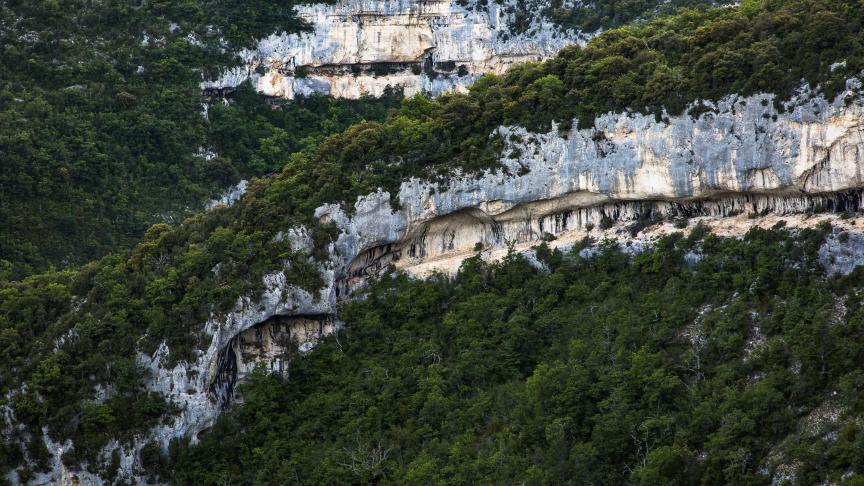 Dans le Vaucluse, les falaises de la Nesque sont percées de grottes.