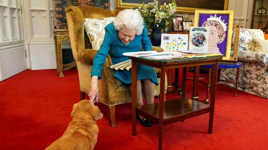 La reine Elizabeth II le 4 février dernier, caressant son chien corgi Candy.