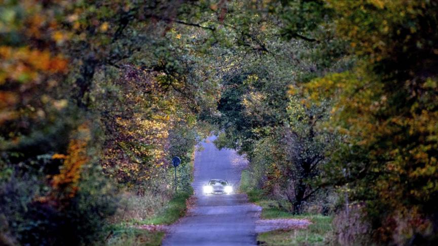 Une voiture traverse une forêt sur une petite route à Wehrheim près de Francfort, en Allemagne.