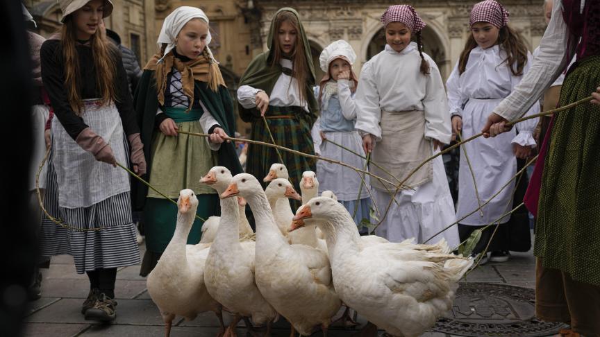 Des filles dirigent un troupeau d'oies, lors d'une procession à Prague, en République tchèque.