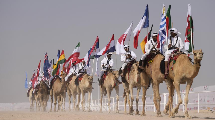 Des chameaux défilent avec des drapeaux lors d'un spectacle au Qatar.