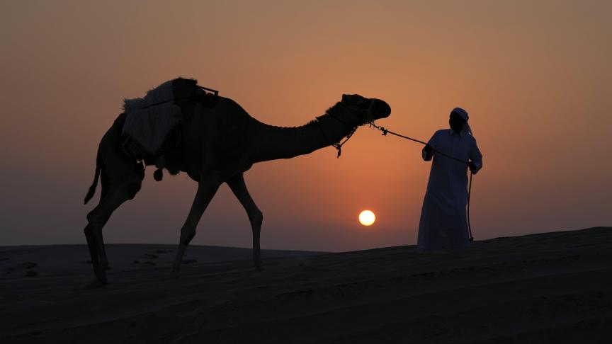Un homme promène son chameau au coucher du soleil dans le désert près d'Umm Said, au Qatar, le vendredi 16 décembre 2022.