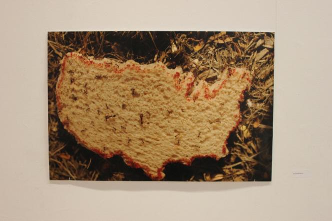 Un morceux de pain de la forme des Etats-Unis, avec les frontières pleine de sang. © T.J.