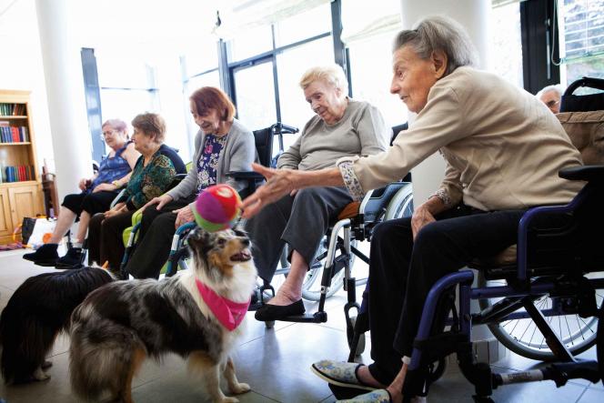 Les thérapeutes obtiennent d’excellents résultats en mettant en contact un chien et des personnes âgées ou en souffrance.