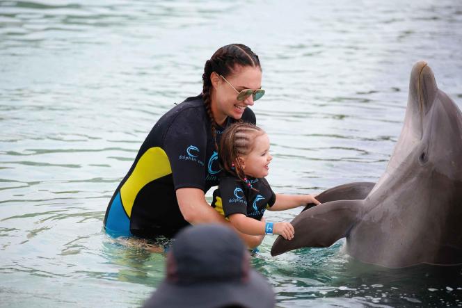 Le dauphin qui communique par écholocation développe notamment d’excellents rapports avec les enfants et les personnes autistes.