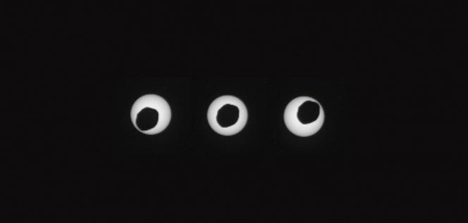 Cet ensemble de trois images de la NASA publié le 29 août 2013 montre des vues à trois secondes d'intervalle alors que la plus grande des deux lunes de Mars, Phobos, passait directement devant le soleil.