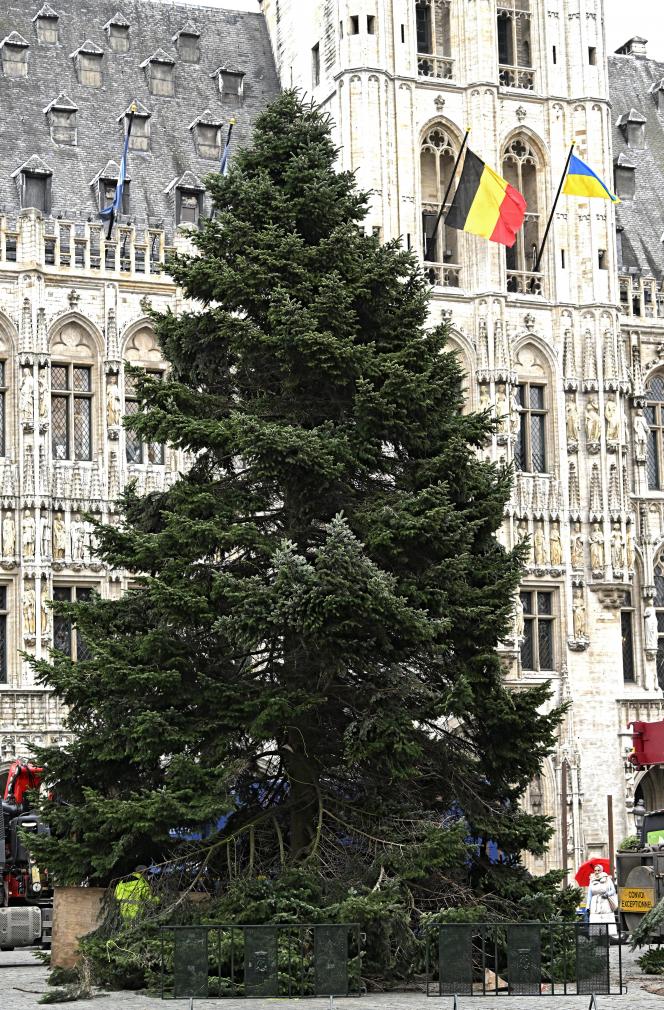 Pohon Natal telah tiba di Grand-Place di Brussels (foto)