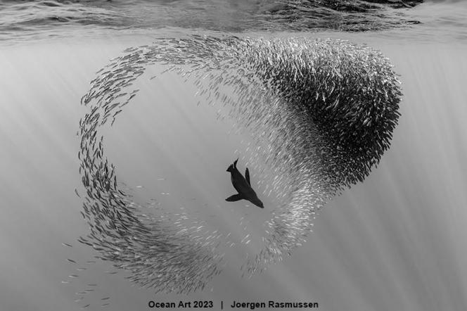 Ocean Art 2023 - Joergen Rasmussen